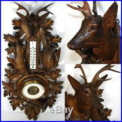 Antique Black Forest 29 Barometer Stag, Fruits of the Hunt Carved Hare & Bird