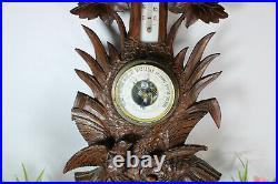 Antique Black forest wood carved wall barometer birds nest rare