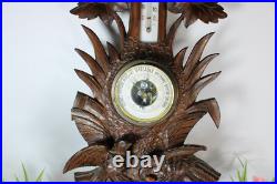 Antique Black forest wood carved wall barometer birds nest rare Antique Black forest wood carved wall barometer birds nest rare