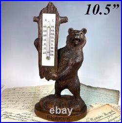 Antique Swiss HC Black Forest 10.5 Bear Desktop Thermometer Stand, Glass Eyes