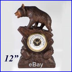 Charming Antique to Vintage Hand Carved Black Forest Bear, 12 Barometer Stand