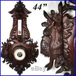 HUGE 44 Antique Black Forest Carved Oak Wall Barometer, HUNT Dog, Hare & Bird