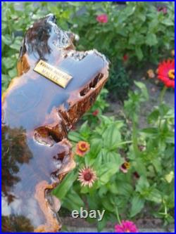 Western Australia MALLEE Very Rare French Barometer Chermometer Western Australia MALLEE Very Rare French Barometer Chermometer